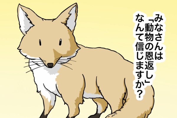 世にも奇妙ななんかの話 - 2025/05 Powered by ライブドアブログ
