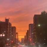 『アフリカの革命家に読めと言われた三国志（前編） vol.4209』の画像