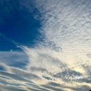 美しい秋の空に