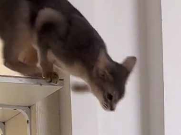 私がトウモロコシを食べていた。ちょっと待ったぁ！ → 気づいた彼がすっ飛んできました…