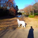 ゆっくり歩いてのお散歩です