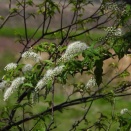 土曜日陶芸教室