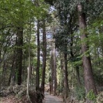 "見タイ”食べタイ”遊びタイ”