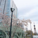 カラダは正直だった(笑)と、あるものごはんの日。