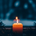 Android始めました