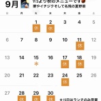 ボーシュマン日記