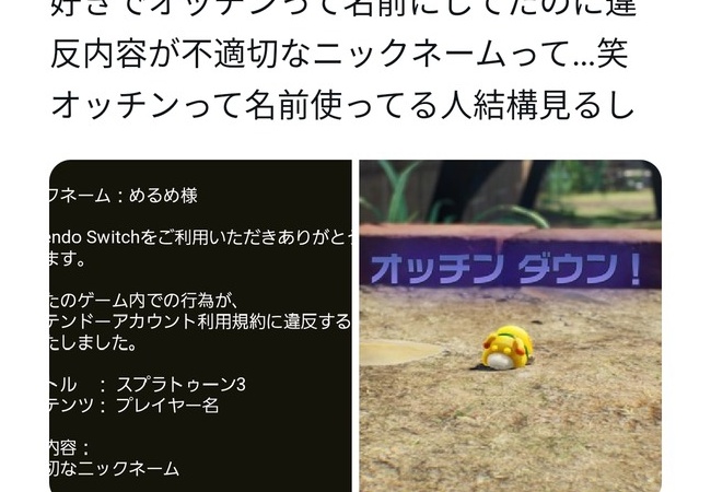 【悲報】任天堂「オッチンて何だよ」