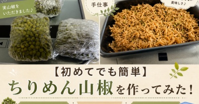 【初めてでも簡単】ちりめん山椒を作ってみた！実山椒の下処理・保存方法も紹介