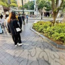味噌汁の具