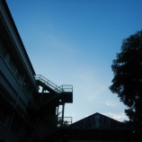 『朝から晴れ渡りました』の画像