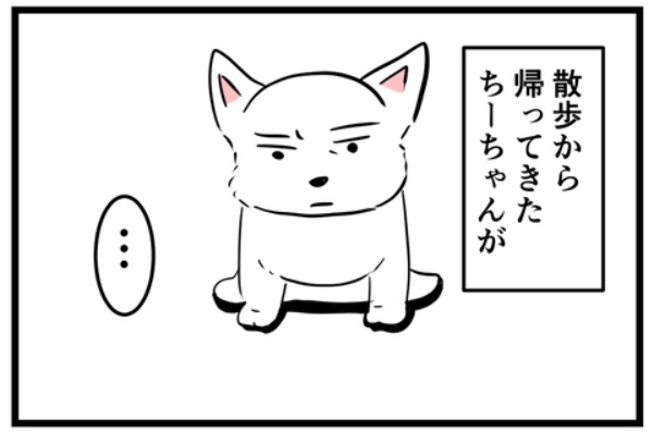 ちーちゃんです。 ちーちゃんですけどもっ第2巻発売中です❗️ (@ymc_cheezu) / X