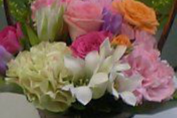 居酒屋きょうこ 能登大好き みんな大好き きょうこママ 熊谷京子 の紹介