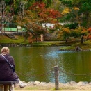 欺瞞に満ちた日本介護支援専門員協会の自画自賛