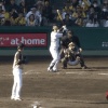 【オープン戦】阪神vs日ハムは3-3の引き分け