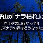 春夏秋冬…－ドラと山－