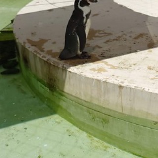 グリーンパーク動物病院スタッフブログ