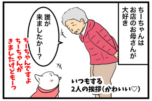 ちーちゃんです。 ちーちゃんっ🐾 - ちーちゃんですけどもっ
