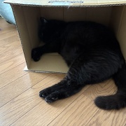 認めたくない夫