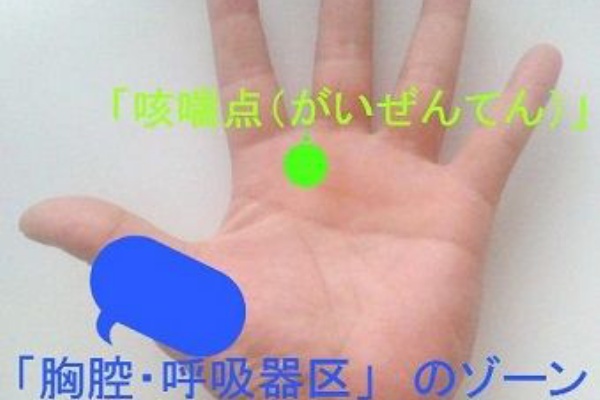 電車内で喘息の症状が出た時にできること ミラクルマスター 口コミ 評判サイト