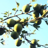 『ガイダンス（250回記念）2025年8月（1）』の画像