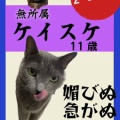 ケイスケ、第一線を退いて我が家で生活することになりました