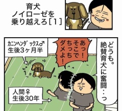 【１】育犬ノイローゼを乗り越えろ