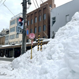 りかこの乳がん体験記