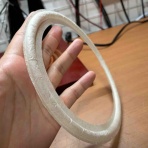 コンクリートホーンは俺の墓