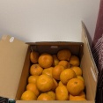 インフルで3kg痩せたから、みかんを箱買いｗｗｗ（※画像あり）