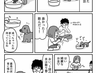 過干渉飼い主もよくない