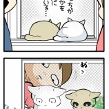 猫たちが真剣に見ていたものは⁈