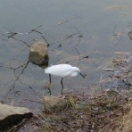 きららきらら☆