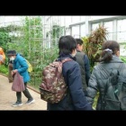 『2018/1/28　神代植物公園散策と深大寺の蕎麦』の画像