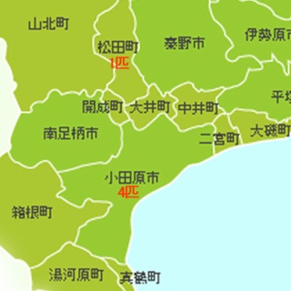 三度の飯＜犬と猫