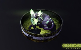 光る猫
