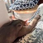 寝相がひどい、ひどすぎる(๑¯◡¯๑)