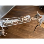 おうちごはんとおかしとねこ