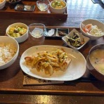 まったり覚書。with オカメインコ