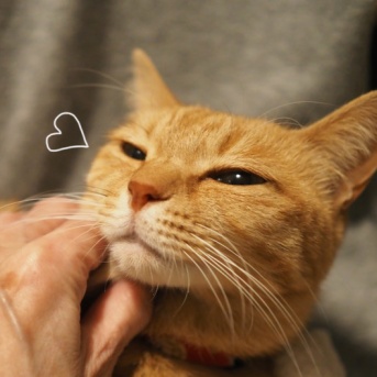 カキカキのお手伝い♪