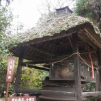 文ちゃんの更科日記