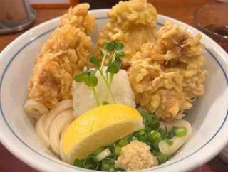讃岐うどん 野らぼー（のらぼー） 大手町店＠大手町