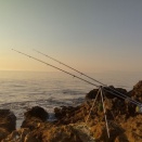 ビックリ🎣❗