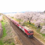 本庄車両センター～超特快の雑記帳～