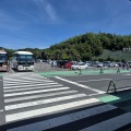 バス日帰り旅行　(*ΦωΦ*)にゃー