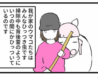 我が家のひっつき虫