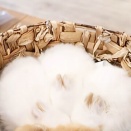 いっぱい育てたい