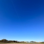 ありんこ日記　AntRoom