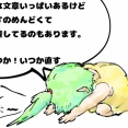 ごめんなせ