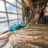『【佐渡めぐり塾】海とともに暮らす』の画像