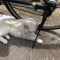 自転車の陰…